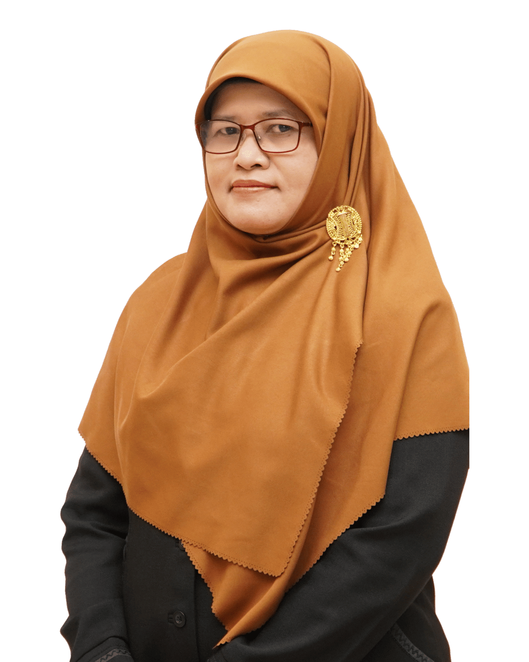 Dr. Ns. Cemy Nur Fitria, S.Kep., Ns., M.Kep.